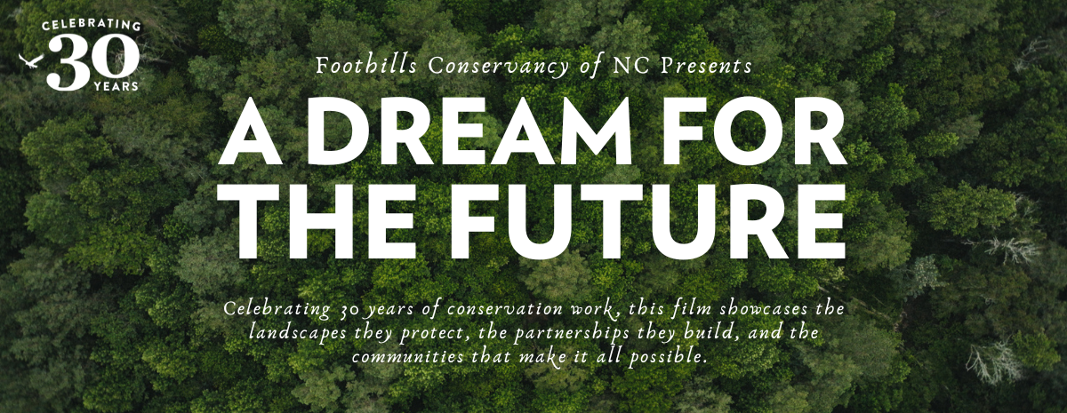 "A Dream for the Future" - FCNC Film Premiere @ CoMMA